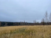Продаются 3 (Три) Земельных участка сельскохозяйственного назначения ( 254 061 кв. м, 206 195 кв. м и 25703 кв. м), Московская обл., Солнечногорский р-н, ЗАО "Солнечное".